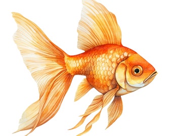8 Goldfisch Clipart, Goldener Fisch Clipart, druckbare Aquarell Clipart, hochwertige JPG, digitaler Download, Papiermodell, Junk Journals