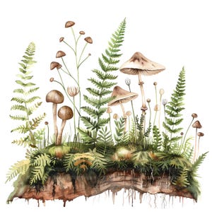 10 botanische varens clipart, Fern Moss decor, afdrukbare aquarel clipart, hoge kwaliteit png's, digitale download, papier ambacht, ongewenste tijdschriften