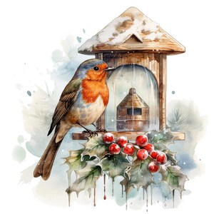 12 Christmas Robin Clipart Set 2, Printable Watercolor Clipart, High ...