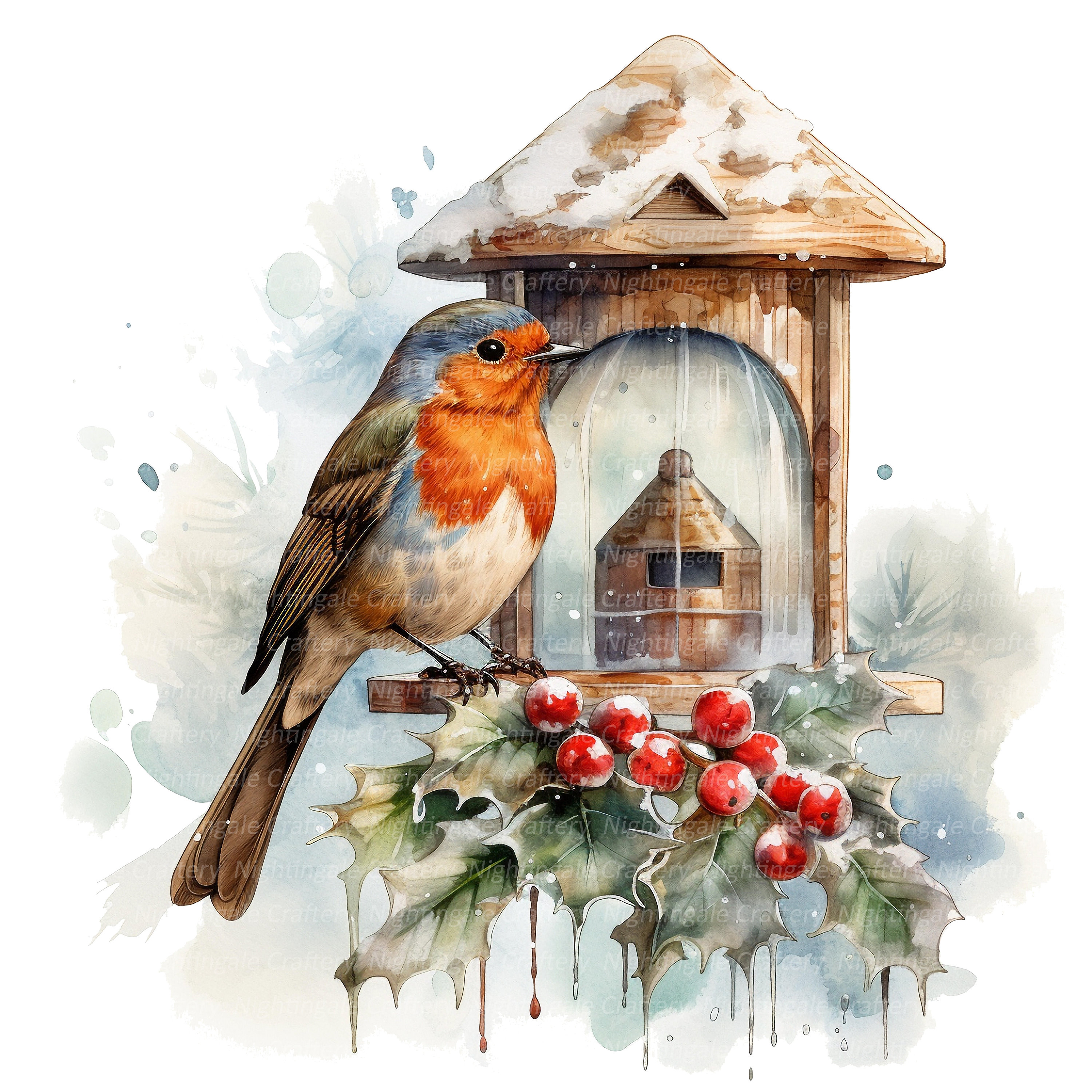 12 Christmas Robin Clipart Set 2, Printable Watercolor Clipart, High ...