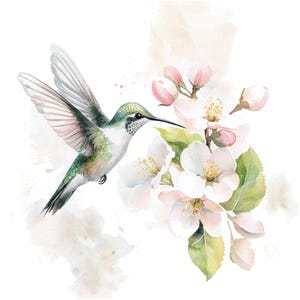 May include: A watercolor painting of a hummingbird with green and brown feathers hovering near a branch of white and pink blossoms.