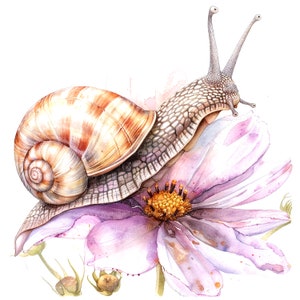 Puede incluir: Una pintura de acuarela de un caracol arrastr&aacute;ndose sobre una flor rosa. El caracol tiene una concha marr&oacute;n con rayas y un cuerpo gris. La flor tiene un centro amarillo y p&eacute;talos delicados.