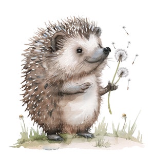 10 imágenes prediseñadas de diente de León de erizo, erizo de dibujos animados, imágenes prediseñadas de acuarela imprimibles, JPG de alta calidad, descarga digital, artesanía de papel, sublimación