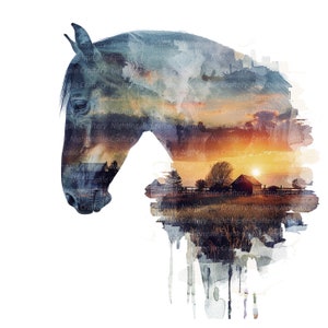 8 Horse Wall Art, Foto di cavalli, Wall Art stampabile, JPG/PNG di alta qualità, Download digitale, Alta risoluzione, Design per magliette, Sublimazione