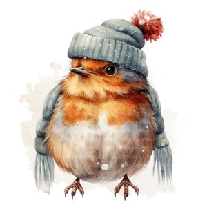 12 Rotkehlchen in Wollmütze Clipart, Weihnachten Rotkehlchen, druckbare Aquarell Clipart, hochwertige JPGs, digitaler Download, Papiermodell, Junk Journal