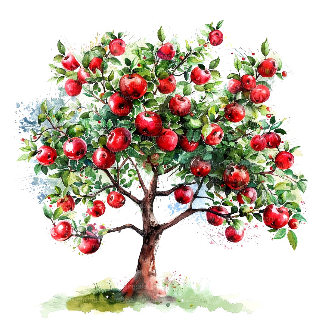 9 Apple Tree Clipart Appletree Clipart Apple Printable Watercolor 9 Apple Tree Clipart Appletree Clipart Apple Printable Watercolor