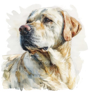 May include: A watercolor painting of a golden retriever dog with a soft, light brown coat. The dog's head is turned to the side, and its eyes are closed. The painting is done in a realistic style, with soft brushstrokes and subtle shading.