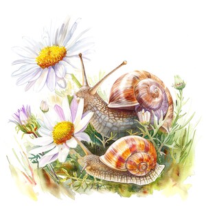 Puede incluir: Dos caracoles con conchas marrones y tostadas se arrastran sobre hojas verdes y margaritas blancas. Los caracoles est&aacute;n enfocados y el fondo est&aacute; desenfocado.