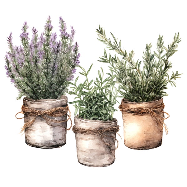 13 Herbs in Rustic Pots Clipart, Herbs Clipart, Printable Watercolor clipart, High Quality JPG, Digital download, Paper craft, junk journal