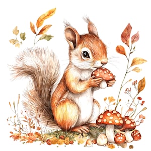 10 cliparts écureuil automne, clipart champignons, clipart aquarelle imprimable, fichiers JPG de haute qualité, téléchargement numérique, créations en papier, journaux indésirables