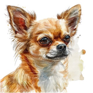 12 Chihuahua Clipart, Aquarell Chihuahua, druckbare Aquarell Clipart, hochwertige JPG, digitaler Download, Papiermodell, Junk Journal