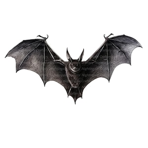 10 Nietoperz Clipart, Dracula Clipart, Wydrukowalne akwarelowe clipart, Wysokiej jakości JPG, Pobieranie cyfrowe, Rękodzieło papierowe, dzienniki śmieci