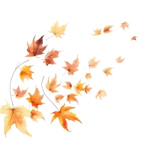 12 vallende herfstbladeren clipart, herfstbladeren, afdrukbare aquarel clipart, hoge kwaliteit jpg's, digitale download, Paper Craft, ongewenste tijdschriften