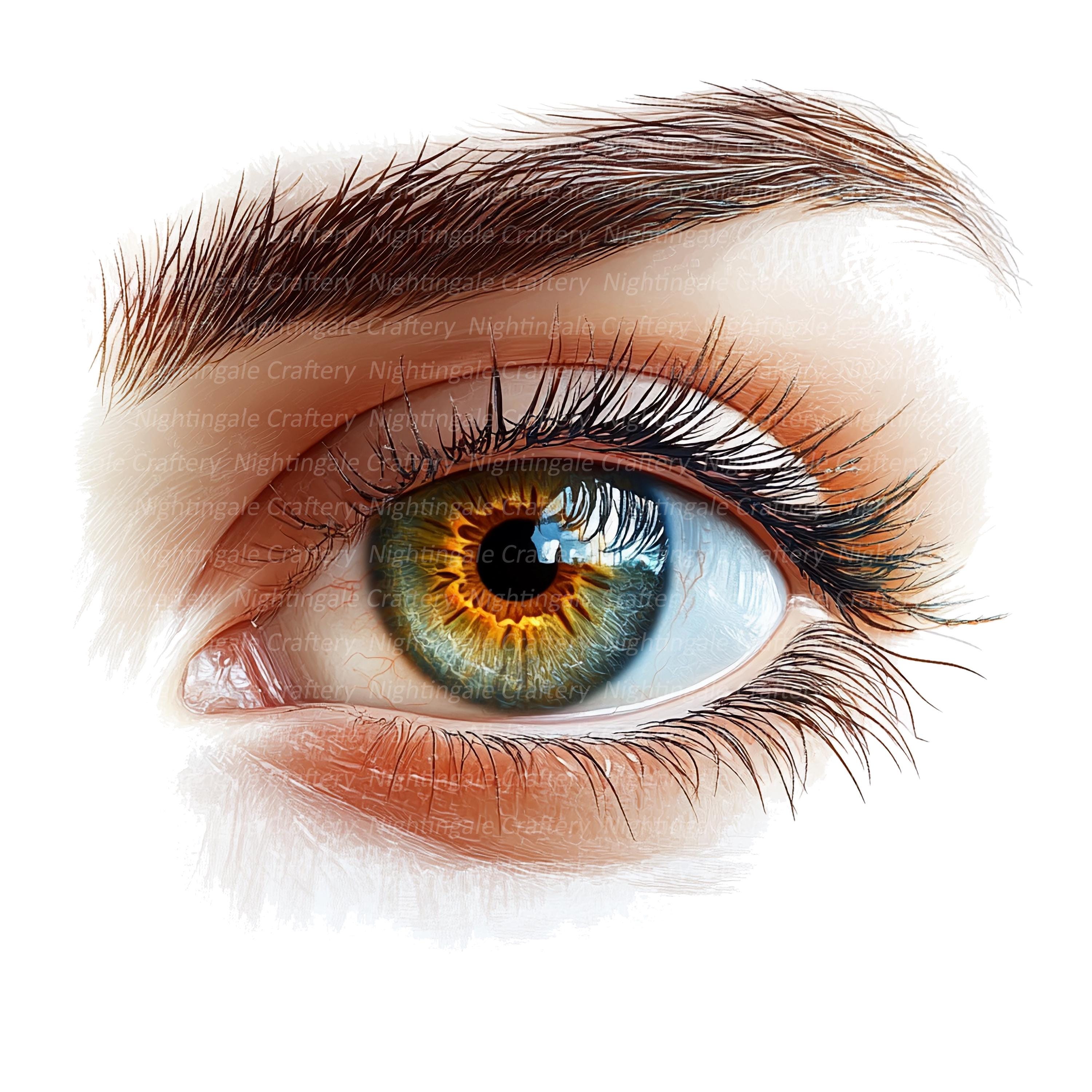 リアルな目のクリップアート11点、人間の目のクリップアート、印刷可能