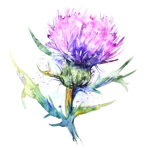 10 distelbloem clipart, paarse bloem, bloemen print, afdrukbare aquarel clipart, hoge kwaliteit JPG/PNG's, digitale download, Papercraft