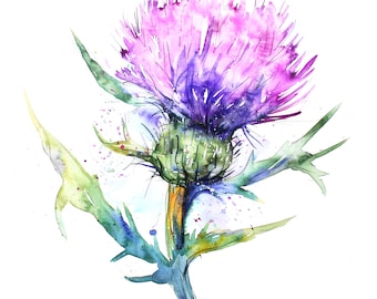 10 distelbloem clipart, paarse bloem, bloemen print, afdrukbare aquarel clipart, hoge kwaliteit JPG/PNG's, digitale download, Papercraft