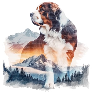 8 Saint Bernard Wall Art, St.Bernard, Printable Wall Art, High Quality JPGs, Digital download, High resolution, T-shirt design, Sublimation
