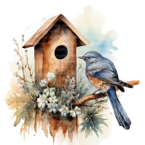 10 cliparts nichoir, clipart maison oiseau, clipart aquarelle imprimable, fichiers JPG de haute qualité, téléchargement numérique, créations en papier, journaux indésirables