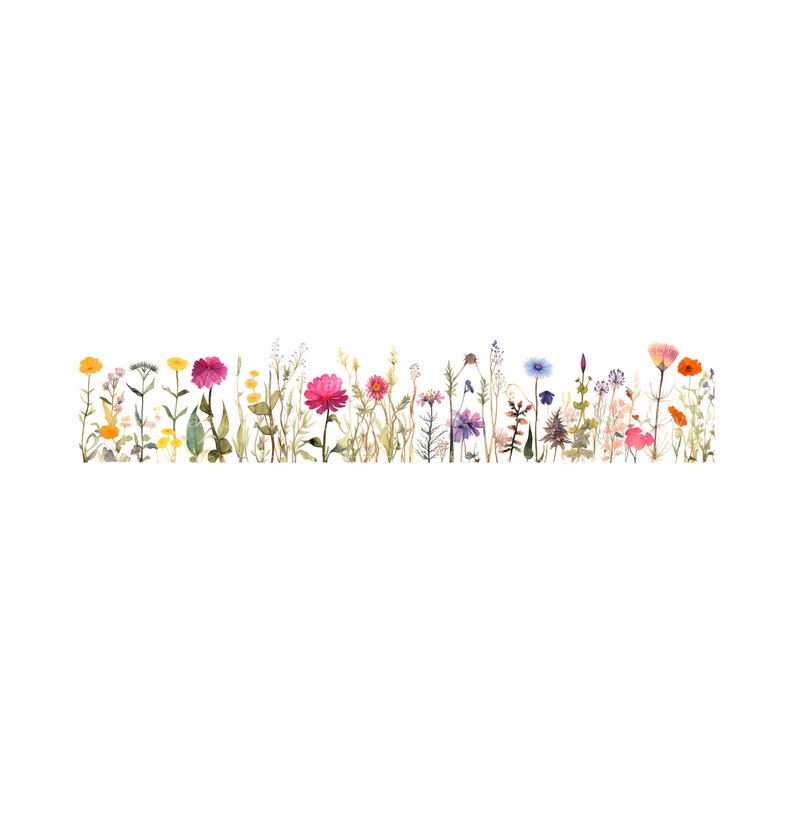 Peut inclure: Une illustration aquarelle d'une rang&eacute;e de fleurs sauvages color&eacute;es, comprenant des fleurs roses, violettes, bleues, jaunes et orange. Les fleurs sont dispos&eacute;es en ligne sur un fond blanc.