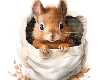 9 Cute Squirrel Hiding Clipart, Squirrel Clipart, Printable Watercolor clipart, High Quality PNG, Digital download, Paper craft, sublimation