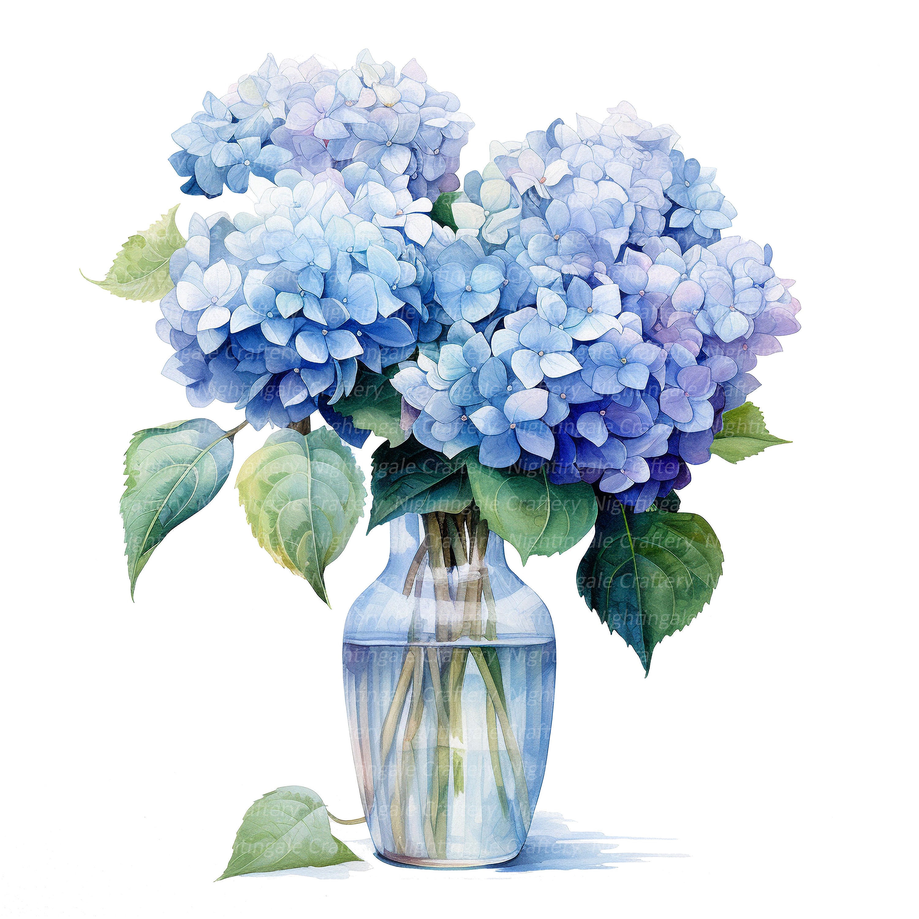 12 Hydrangea in Vase Clipart, Blue Hortensia, Printable Watercolor ...