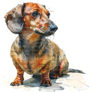 10 teckel hond clipart, aquarel teckel, afdrukbare aquarel clipart, hoge kwaliteit jpg's, digitale download, Paper Craft, junk Journal