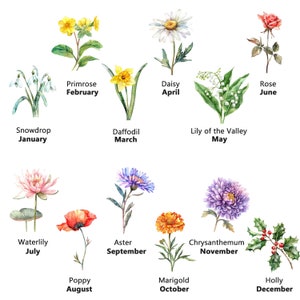 Clipart fleur 24 mois de naissance, fleurs de naissance, clipart aquarelle imprimable, fichiers JPG de haute qualité, téléchargement numérique, créations en papier, journal indésirable