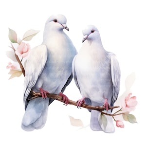 11 colombes blanches Couple Clipart, colombe de la paix, clipart aquarelle imprimable, fichiers JPG de haute qualité, téléchargement numérique, créations en papier, journaux indésirables