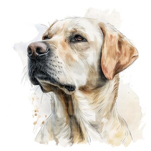 May include: Watercolor painting of a light brown Labrador Retriever dog with a soft, gentle expression. The dog's fur is depicted with fine details, and the background is a light wash of watercolor.