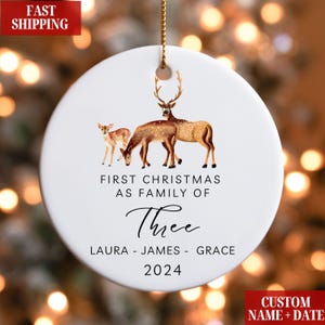 Family of Three Christmas Ornament, Family of 3 Family Ornament, First Christmas Ornament, Personalized Baby's First Christmas Ornament Gift