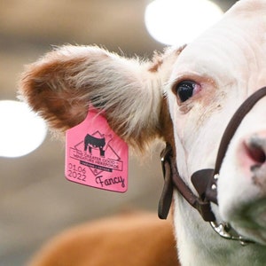 Custom Livestock Ear Tags - Permanently Engraved - No Vinyl No Fading, Cattle, Sheep and Goats