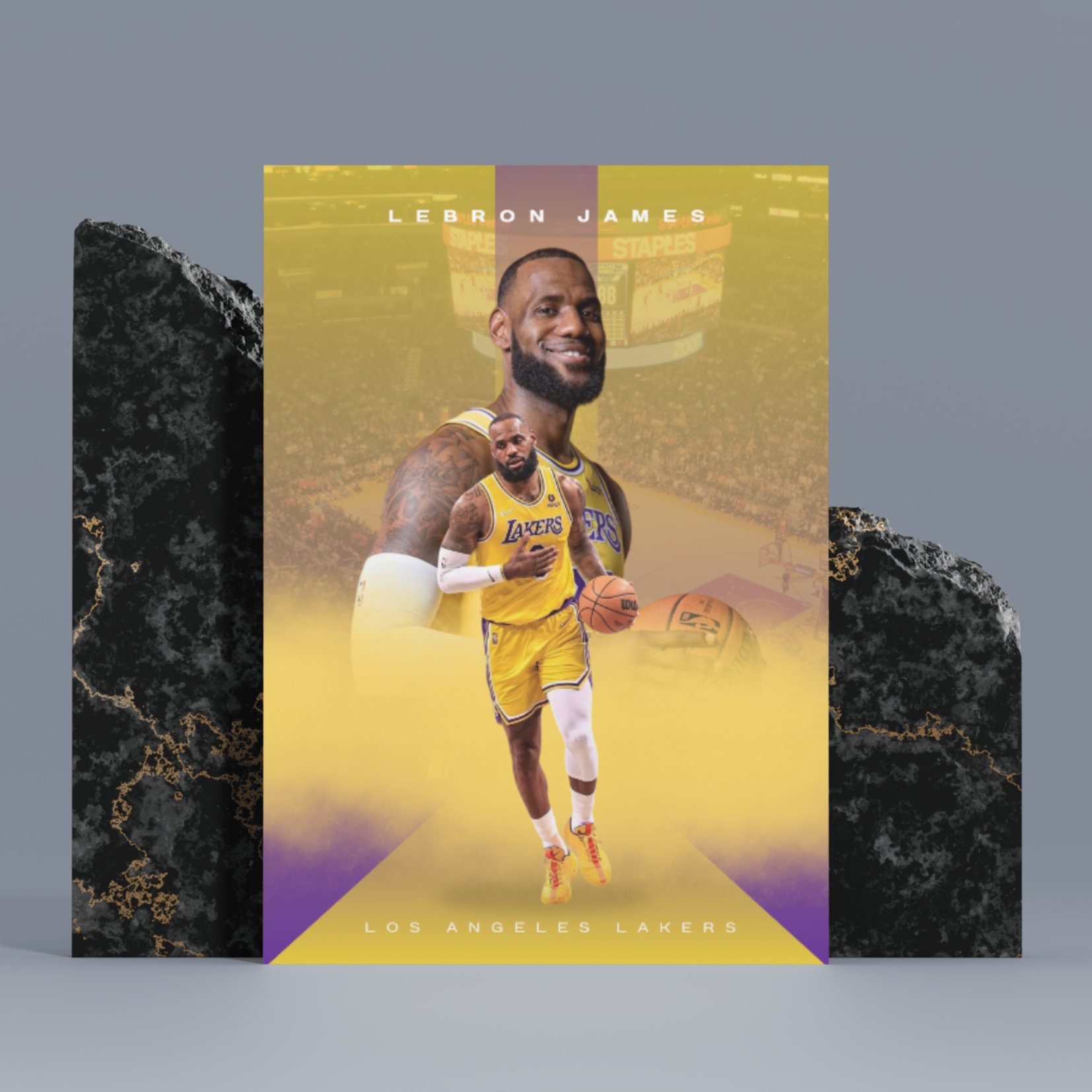 signed lebron poster