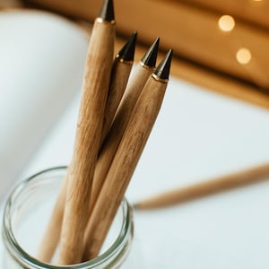 Everlasting Pencils - Set of 5