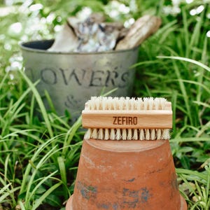 Bamboo Nail Brush
