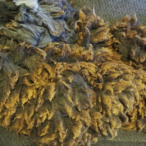 May include: A pile of raw, unprocessed wool fibers in shades of brown, gold, and gray. The fibers have a crimped texture, suggesting they are from a sheep. The wool appears soft and fluffy, suitable for spinning or felting projects.