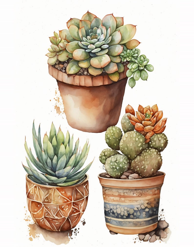 Succulent Art Print Printable Watercolor Art Digital - Etsy