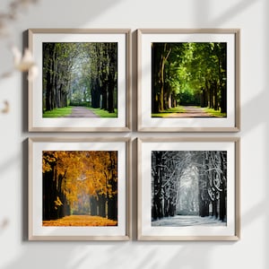 Four Seasons Wall Art Set, Nature Painting Prints, Four Seasons Painting Prints, Four Seasons Wall Art, Nature Artwork, Printable Wall Art,