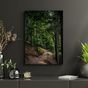 Waldweg druckbare Kunst | Digitaler Download Naturfotografie | Waldweg Druck | Rustikales Poster im Grünen Wald