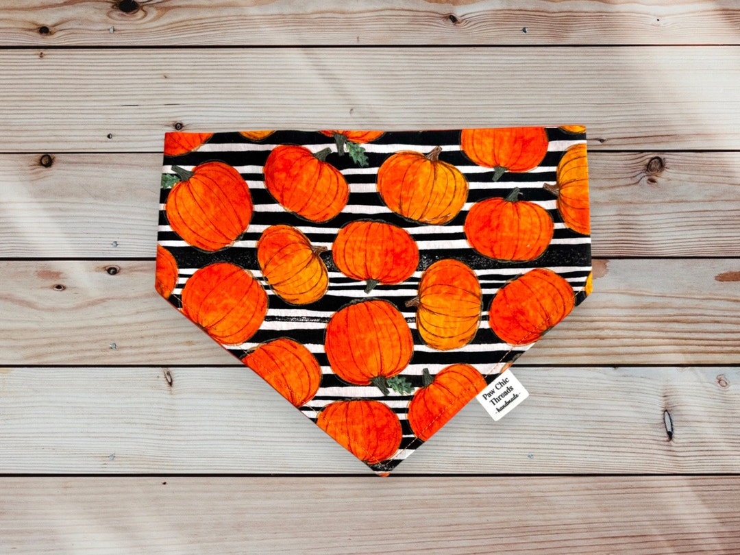 Halloween Dog Bandana/pumpkin Dog Bandana/black Dog Etsy