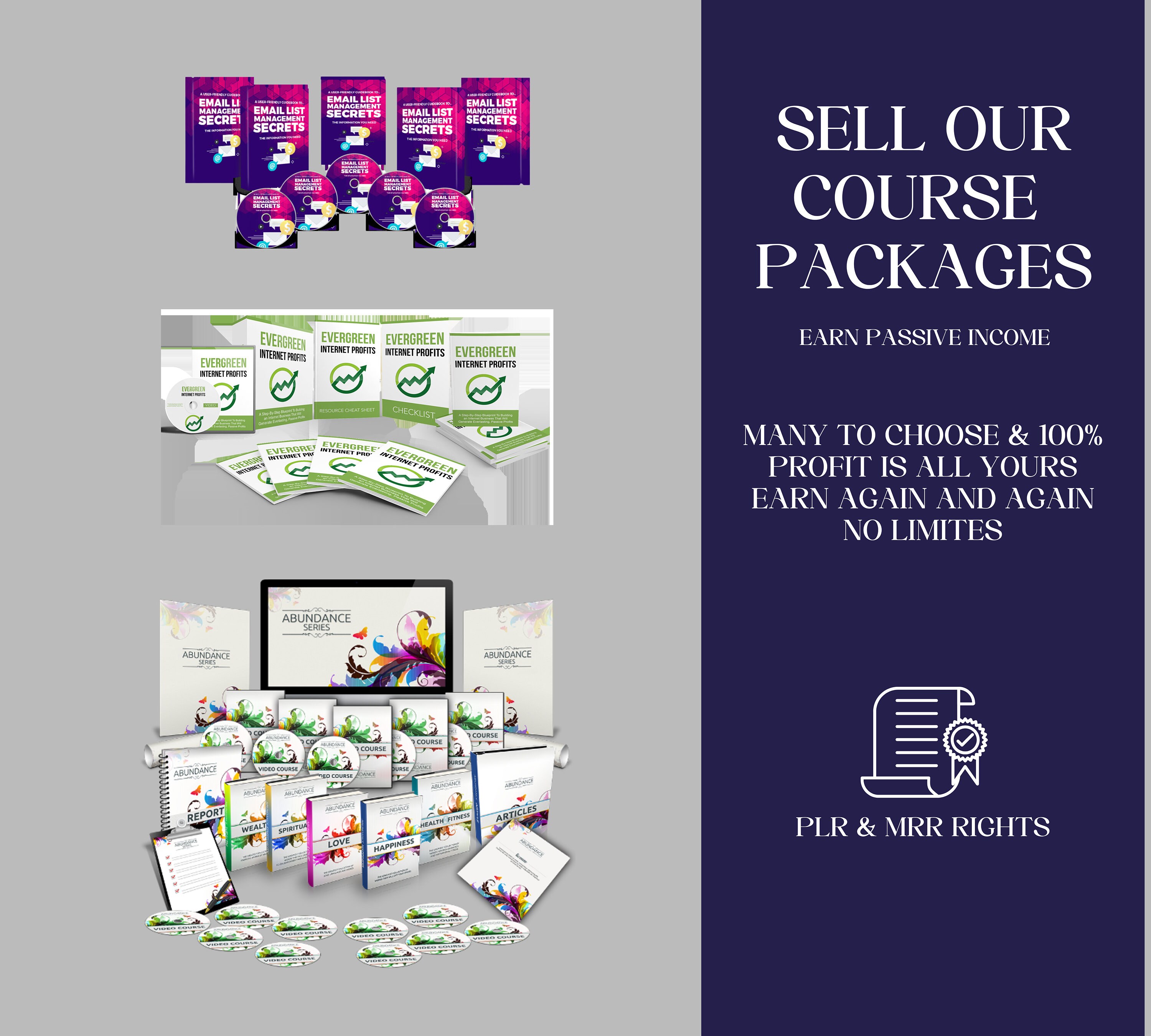 400K Digital Products PLR & MRR Bundle: Editable Passive Income Library ...