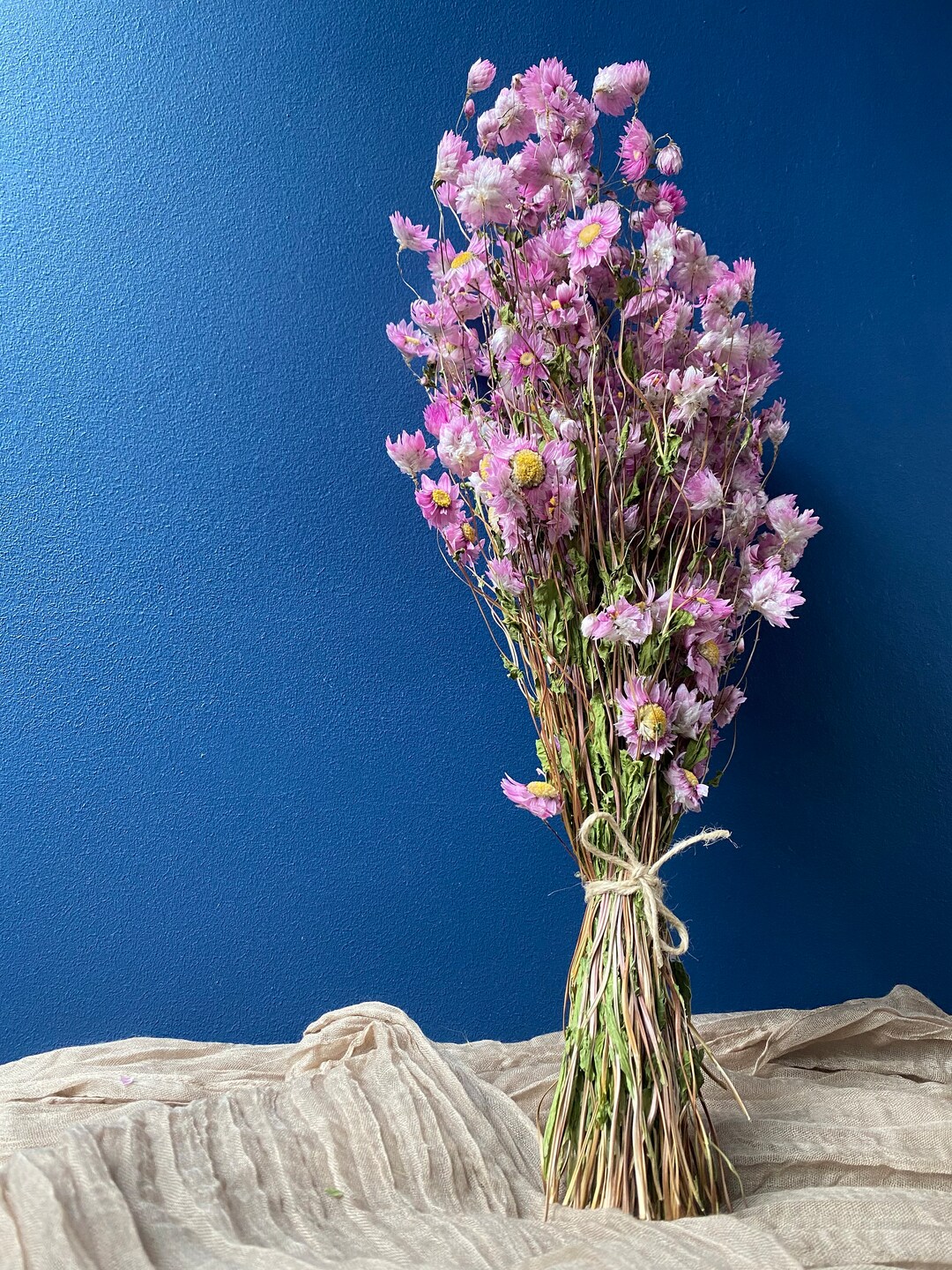 Dried Pink Daisies Pink Rhodanthe Bunch Dried Daisy Flowers Bouquet