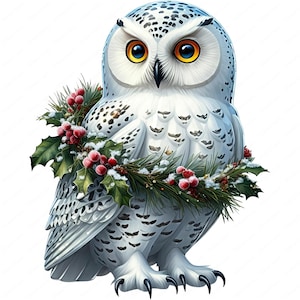 Clipart kerstuil | Feestelijke sneeuwuil clipartbundel | 10 hoogwaardige ontwerpen | Vakantiekunst | Afdrukbare items | Commercieel gebruik