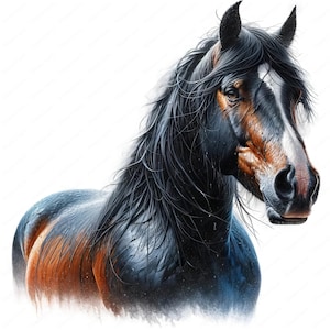 Clipart cheval Mustang | Lot de cliparts majestueux chevaux Mustang | 10 modèles de haute qualité | Art équestre | Imprimables | Utilisation commerciale