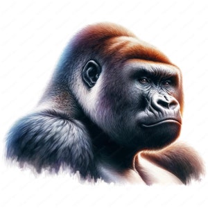 Silverback Gorilla Clipart | Mighty Silverback Gorilla Clipart Bundle | 10 High-quality Designs ...