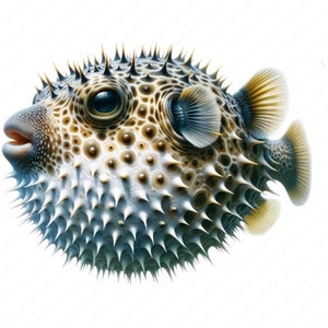 Pufferfish Clipart | Unique Pufferfish Clipart Bundle | 10 High-Quality Designs | Marine Life Art | Printables | Commercial Use