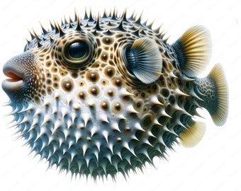 Pufferfish Clipart Bundle | 10 High-Quality Marine Art Designs (Digital Download)