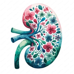 Floral Kidney Clipart | Beautiful Floral Kidney Clipart Bundle | 10 High-Quality Designs | Medical Art | Printables | Commercial Use
