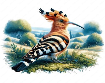 ヤツガシラ鳥のクリップアート：リアルな鳥のアートバンドル（デジタル