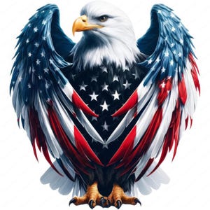 Clipart aquila patriottica / Pacchetto clipart aquila bandiera americana / 10 design di alta qualità / Arte USA / Materiali stampabili / Uso commerciale