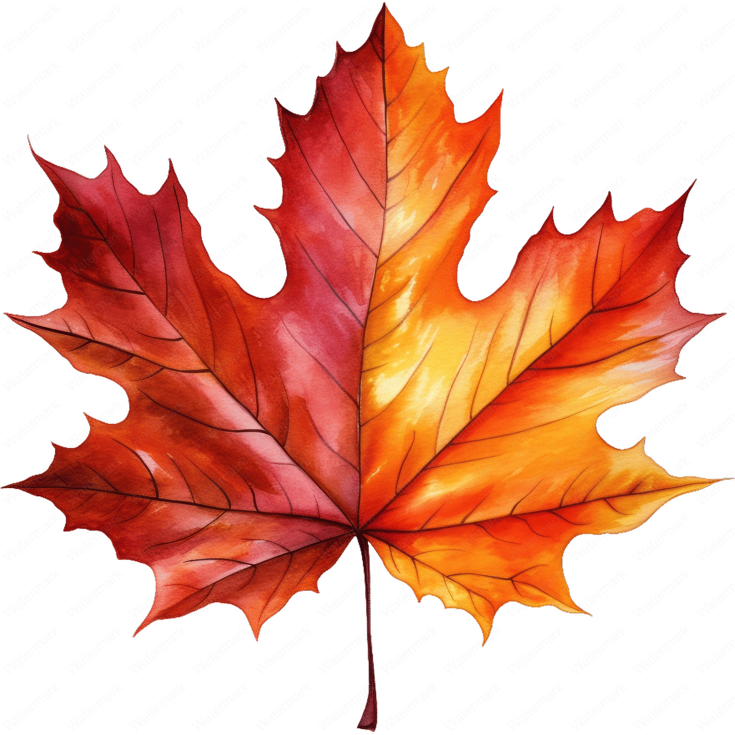 200 Pezzi Foglie Autunnali Decorative Foglie d Acero Artificiali Autunno Foglia Acero Autunnali di Colori per Matrimoni, Halloween Festa, Giorno del Ringraziamento, Casa Decorazioni, Fai da Te